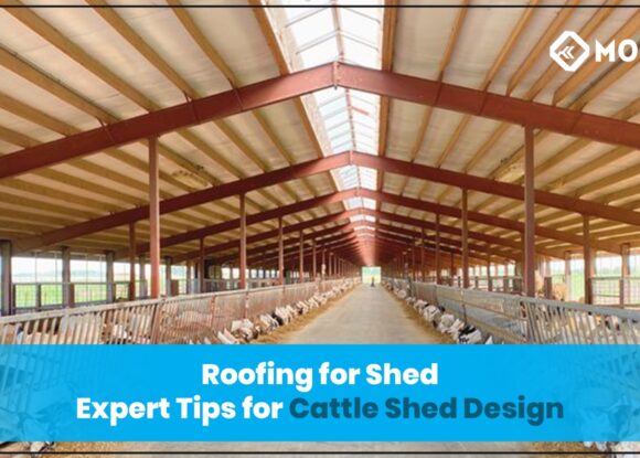 Roofing for Shed: Expert Tips for Cattle Shed Design