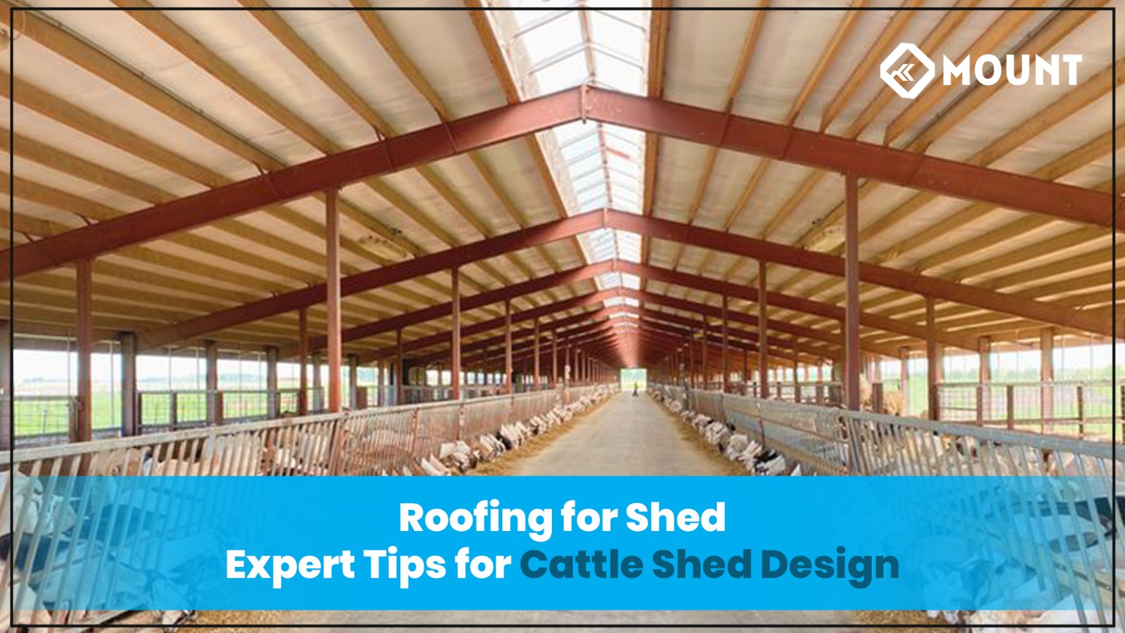Roofing for Shed: Expert Tips for Cattle Shed Design